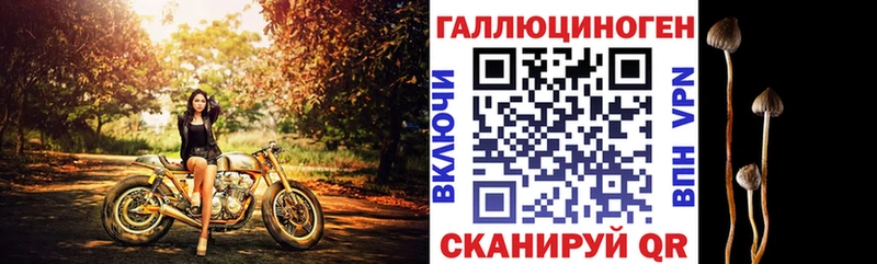 MEGA зеркало закладки Шацк Галлюциногенные грибы мухоморы